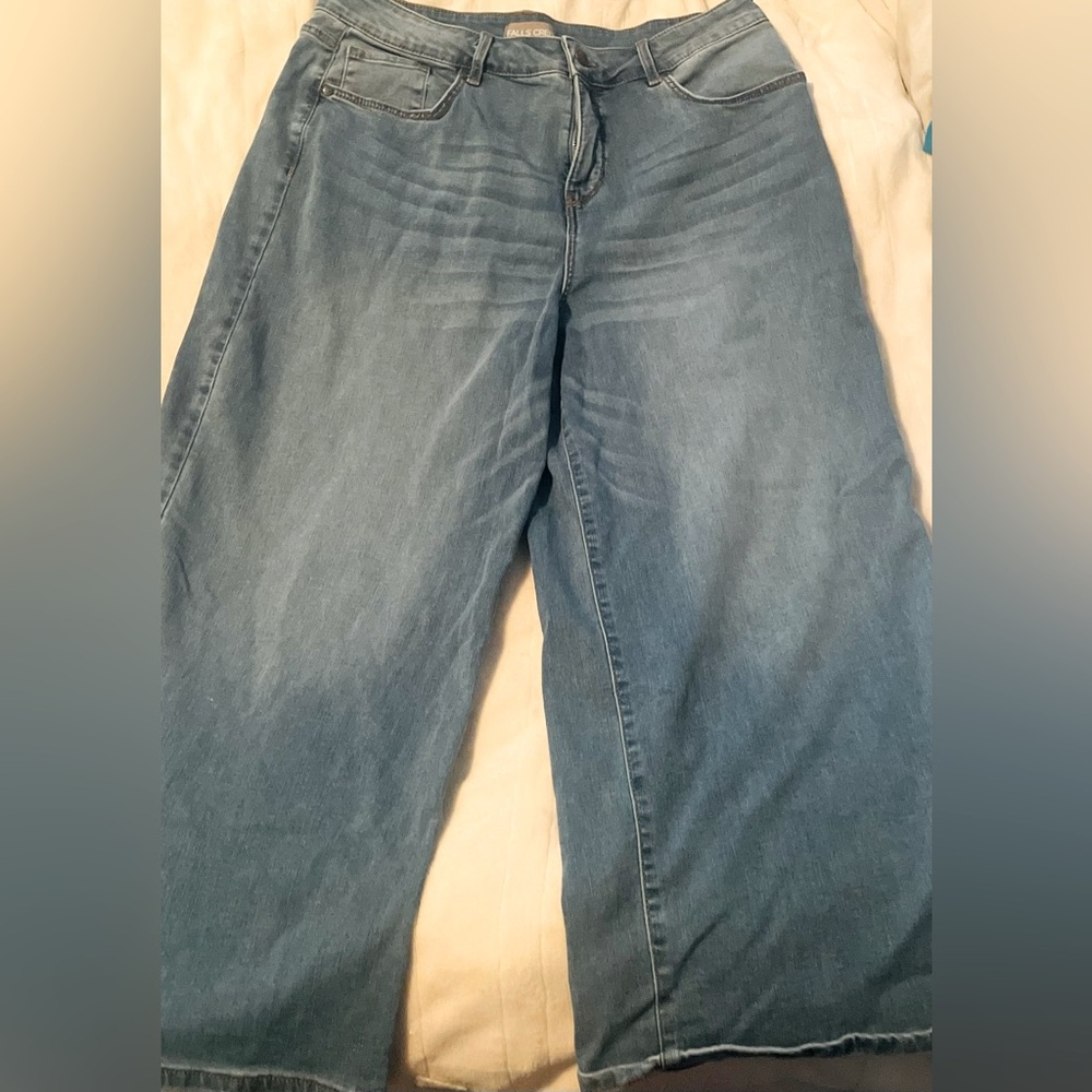 The brand is fall creek, size 16 blue wide leg jeans.